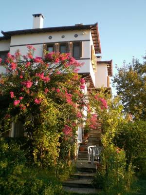 Pension Panos55