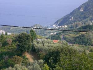 Pension Panos56